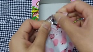 Meiji KINOKO NO YAMA STRAWBERRY CHOCOLATE BISCUITS Unboxing Video