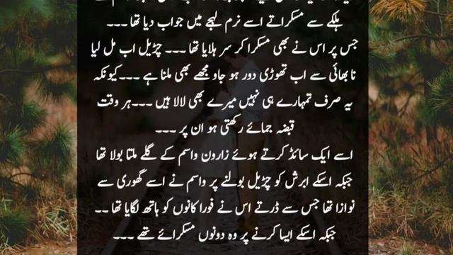 wasim abeeha ki mulaqat|Part 3|cousin marriage base|wafa shah novel|#urdunovelpoint смотреть онлайн