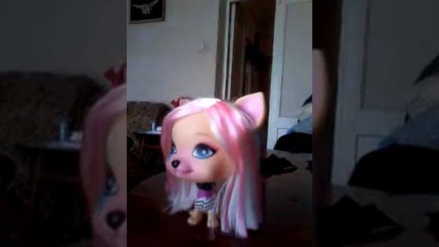 Обзор вип петс смотреть онлайн