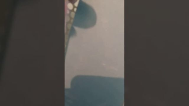 однушка смотреть онлайн