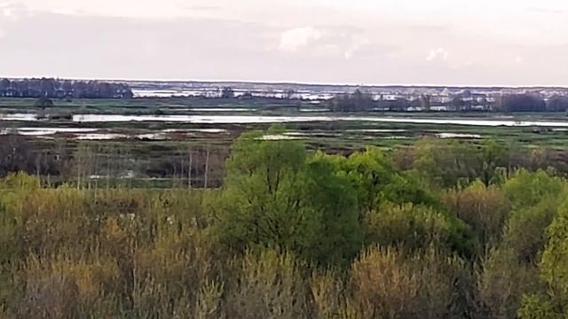 Разлив Ока Шилолово