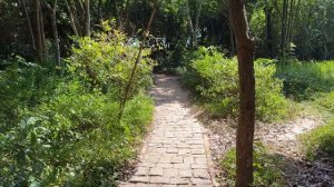 Fantastic Mango Bay Resort Phu Quoc Island Vietnam / Walk around / 4K UHD / 15.01.2024