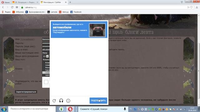 Регистрация в игре КэтВар смотреть онлайн