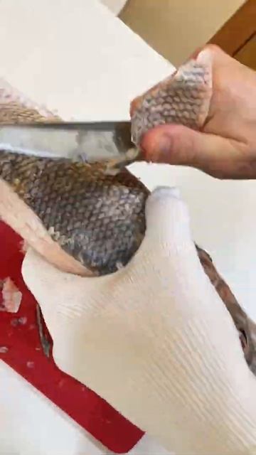Полдник в Уруу 😋🐟 смотреть онлайн