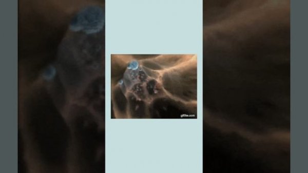 Как работает липолитик Lipo Long