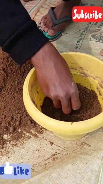 🌱আমেরিকান ভিনকা গাছ প্রতিস্থাপন 🌸🌸 l নয়নতারা গাছের প্রতিস্থাপন 🌱#short#shortvideo #@arigarden123 смотреть онлайн