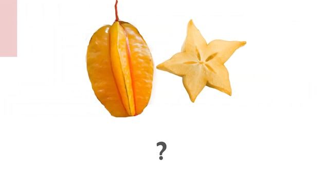 Tropical Fruits In English - List of All Tropical Fruits смотреть онлайн