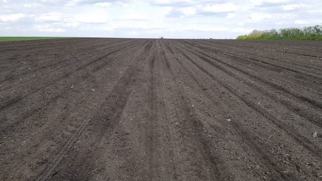 Посев подсолнуха на демо поле гибридов ВНИС. New holland T6090 & Kverneland смотреть онлайн