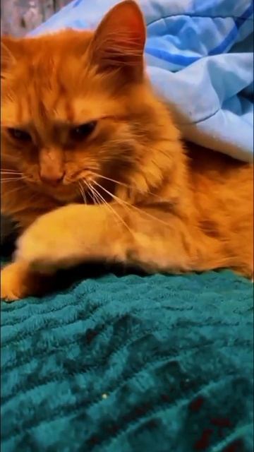 бесподобна