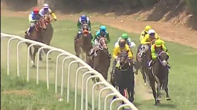 Maze Runner with C A Brisson up wins The Botanical Garden Cup Div 2 2019 смотреть онлайн