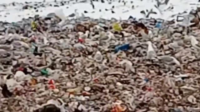 Море ближе, чем вы думаете. По крайней мере, его звуки смотреть онлайн