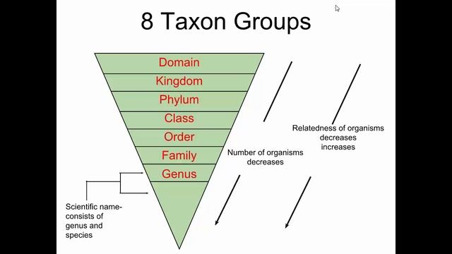 SCI7 - Taxonomy Intro смотреть онлайн