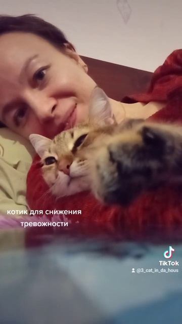 Это самое милое видео на сегодня смотреть онлайн