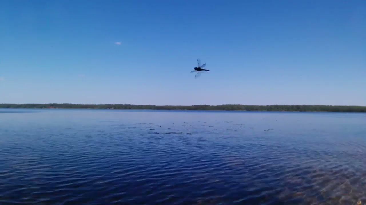 "безмолвие" рубское озеро, юго-западный берег. слушаю фрагмент из аудио книги. Nikosho. Роберт Адамс смотреть онлайн