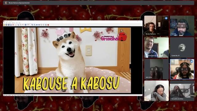Live nº 575 - Kabouse a Kabosu смотреть онлайн