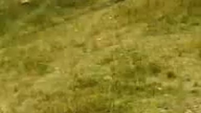 sistema agrofos 03 смотреть онлайн