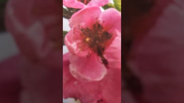 Что является самым неприятным в жизни, рассказывает Хакимов