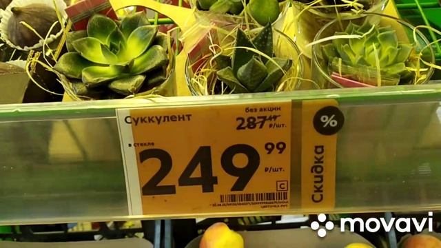 Всё под Пятёрочку... Ну это Тайна💥 смотреть онлайн