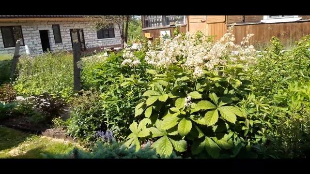 2 Экскурсия по участку Ч 2 смотреть онлайн