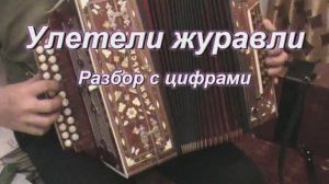Улетели журавли. (008 гармонь с цифрами)