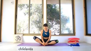 67. Йога при варикозе нижних конечностей 25 минут _ Йога chilelavida