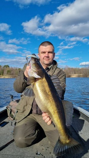 Трофейный судак 2025 года отпущен #BIGFISH #FISHING #рыбалка #судак #трофей