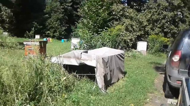 Качка смотреть онлайн