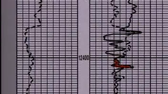 Well Logging : Density Neutron смотреть онлайн