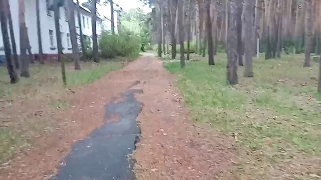 Обзор Базы Отдыха ПРИИРТЫШЬЕ в Омске Часть 2 смотреть онлайн