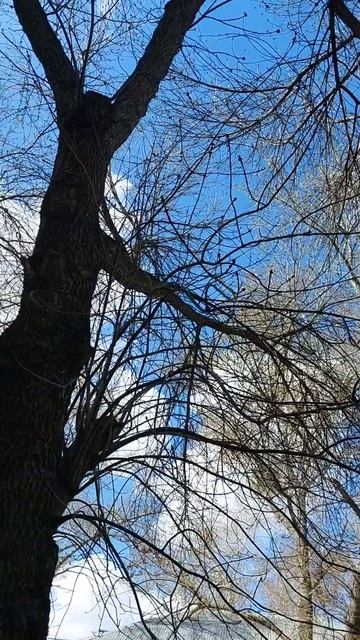 Небо. смотреть онлайн