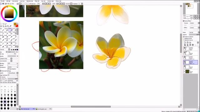 Flower Study 【Ｐｌｕｍｅｒｉａ　Ｒｕｂｒａ】🌼 смотреть онлайн