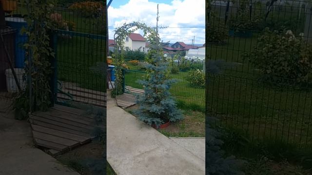 20240823_130113-1 смотреть онлайн