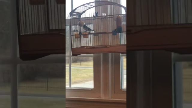 February 25, 2020 смотреть онлайн