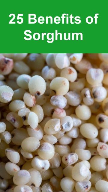#sorghum #sorghumbenefits #health #Shorts смотреть онлайн