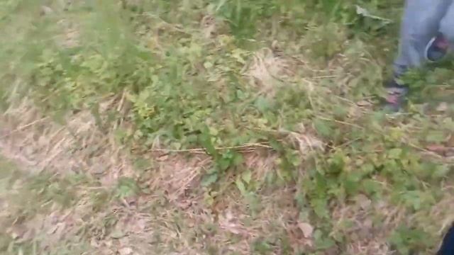 31 КП смотреть онлайн