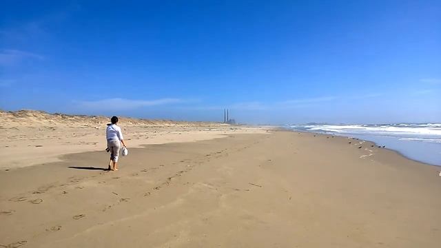 Пляж Мусс Ландинг смотреть онлайн