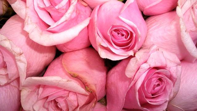 Свежая русская песня и видео онлайн смотреть онлайн