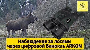 Наблюдение за лосями через цифровой бинокль ARKON NVD Pro BP36GL
