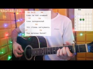 Как играть песню Клен ты мой опавший, на гитаре. Легкие аккорды, кавер и разбор