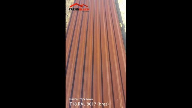 T18 RAL 8017 (brąz) смотреть онлайн