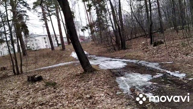 Прогулка по Парку Шереметева,,Много размышлений о жизни.. смотреть онлайн