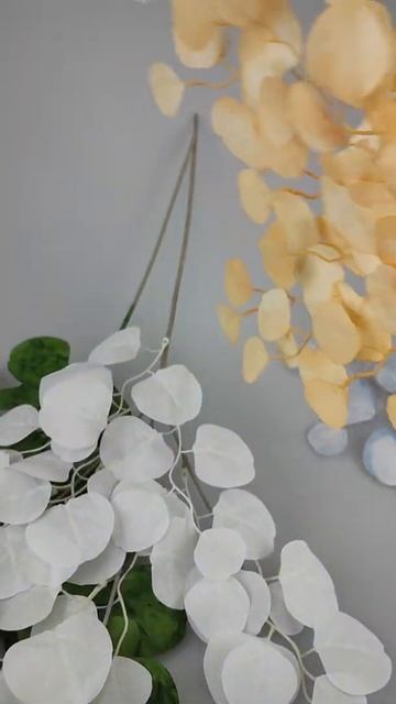 Ветка эвкалипт Монетки смотреть онлайн