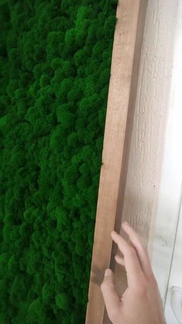 Панно из мха в деревянной раме смотреть онлайн