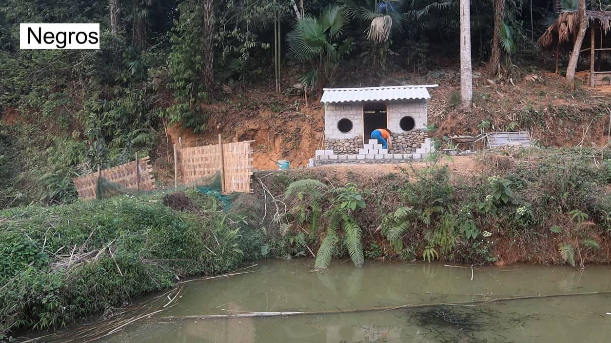 София 6. Заканчивает облицовку домика камнем. смотреть онлайн