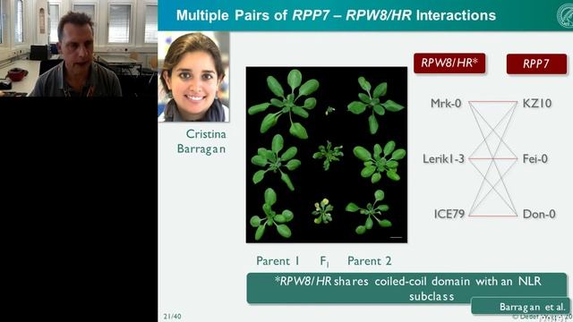 Keynote Presentation: Causes and consequences of immune gene diversity in plants смотреть онлайн
