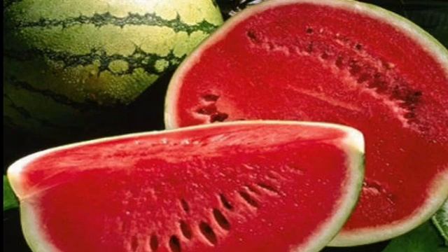 Tarvuz Va Ekish Sirlari. 🍉