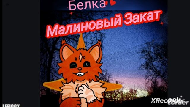 →коты воители← ⚈̥̥̥̥̥́клип⚈̥̥̥̥̥́ ✿Белка✿ ♡Малиновый Закат♡ смотреть онлайн