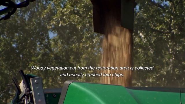 Restoration of semi-natural grasslands in Estonia смотреть онлайн