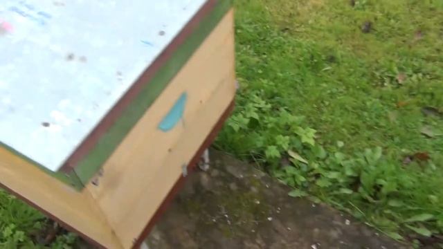 пчелы в клубе а если расплод смотреть онлайн