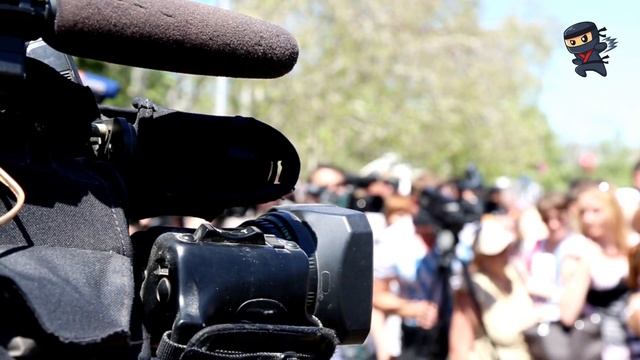 Il Cane Non Si È Arreso Durante L'uragano E Ha Trascinato La Borsa Fino A Casa. Ecco Cosa Conteneva смотреть онлайн